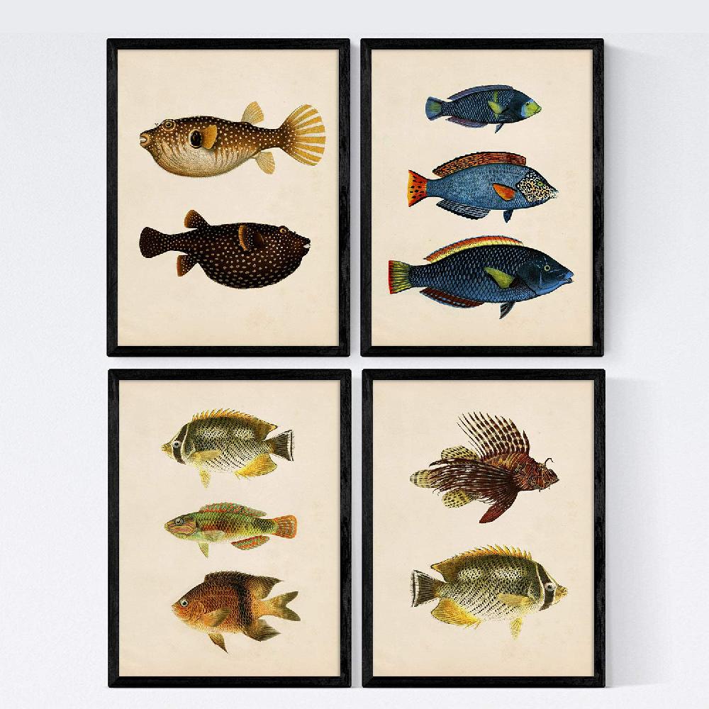 nacnic Set de 4 Láminas Vintage de Peces Coloridos