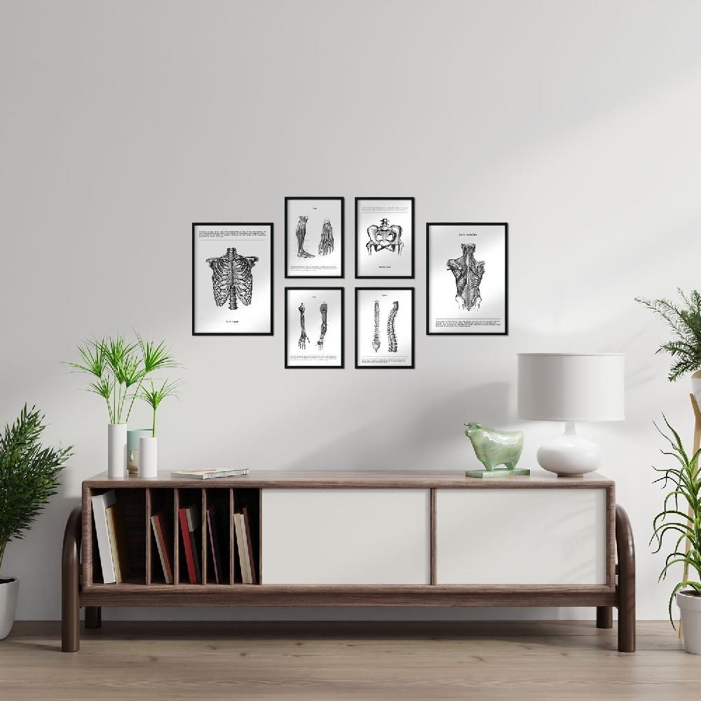 nacnic Set de 6 láminas de Anatomía Estilo Collage