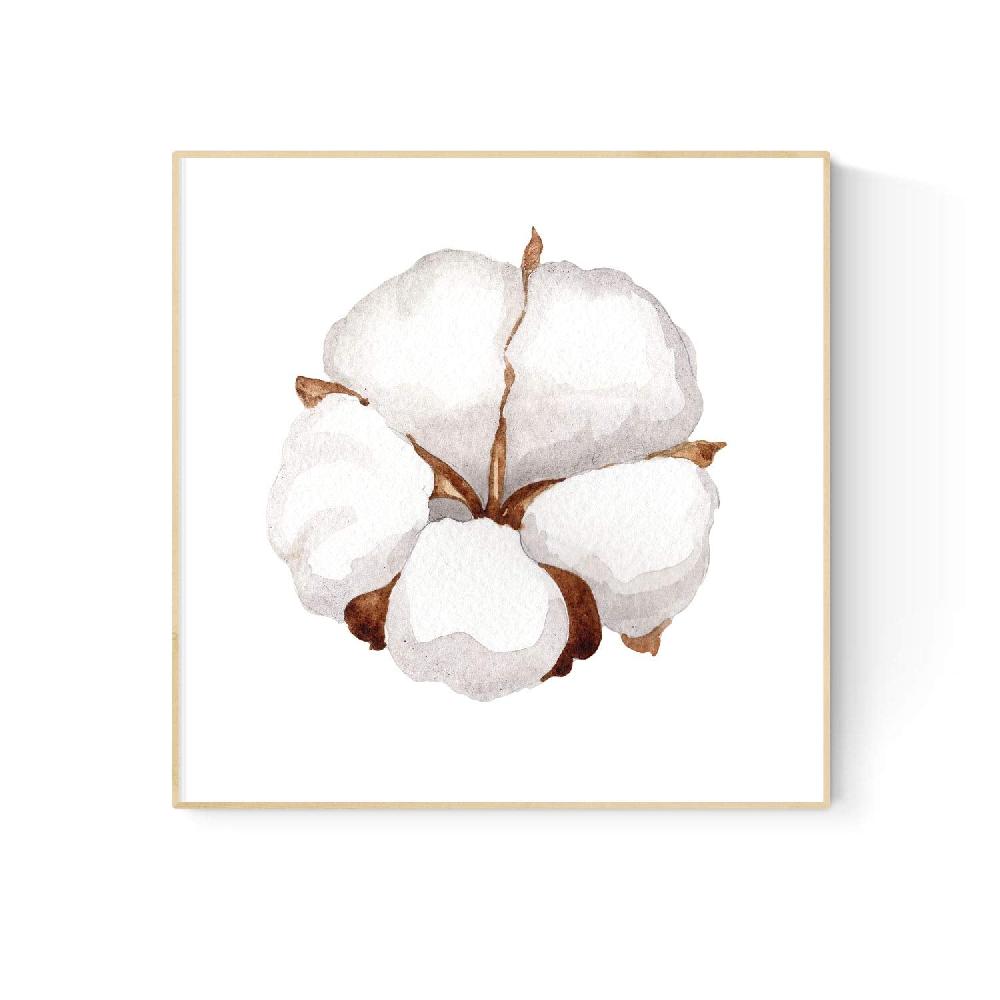 Nacnic Set De Cuatro Láminas ALGODÓN