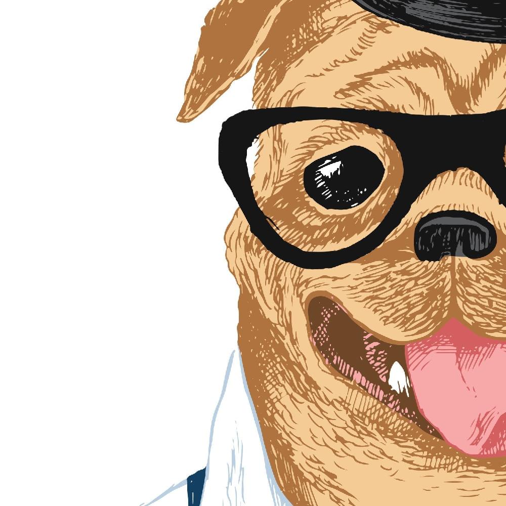 Nacnic Set De Dos Láminas De Animales Ilustrados