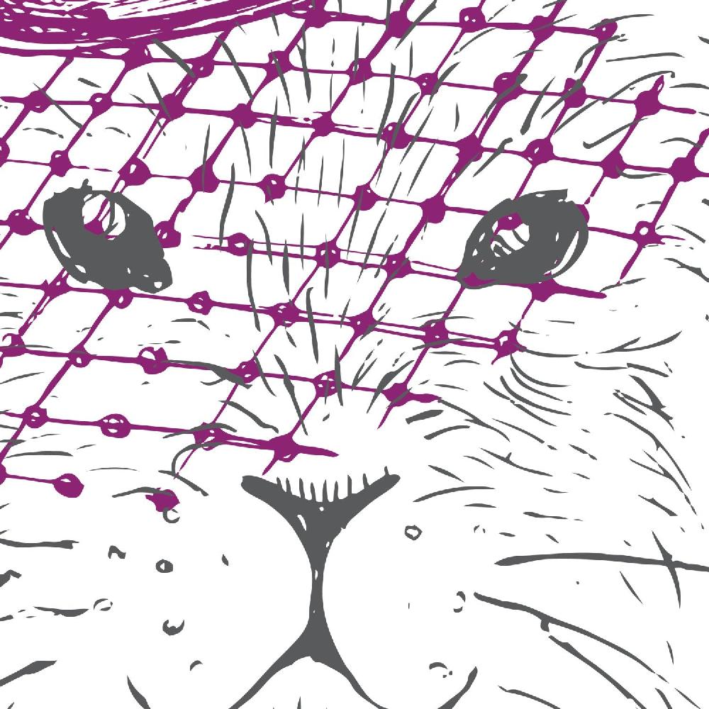 Nacnic Set De Dos Láminas De Animales Ilustrados