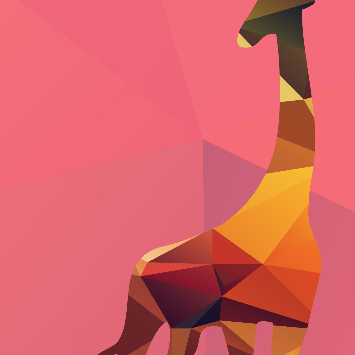 Nacnic Set De Láminas Animales Geométricos