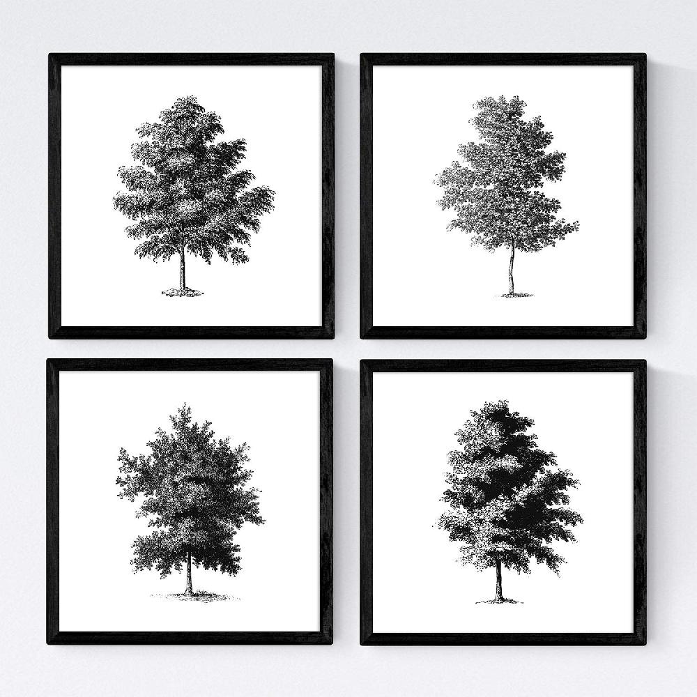 nacnic Set de láminas de árboles con fondo blanco