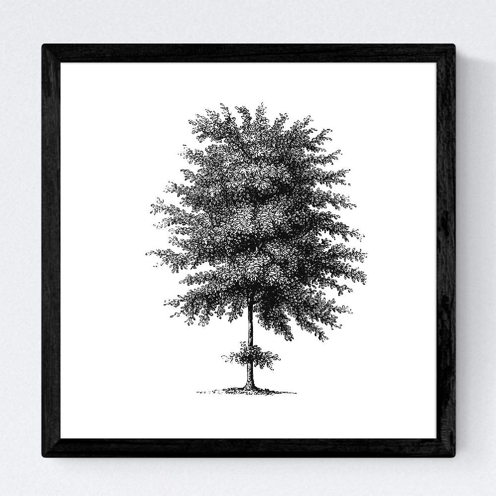 Nacnic Set De Láminas De Árboles Con Tronco Fino