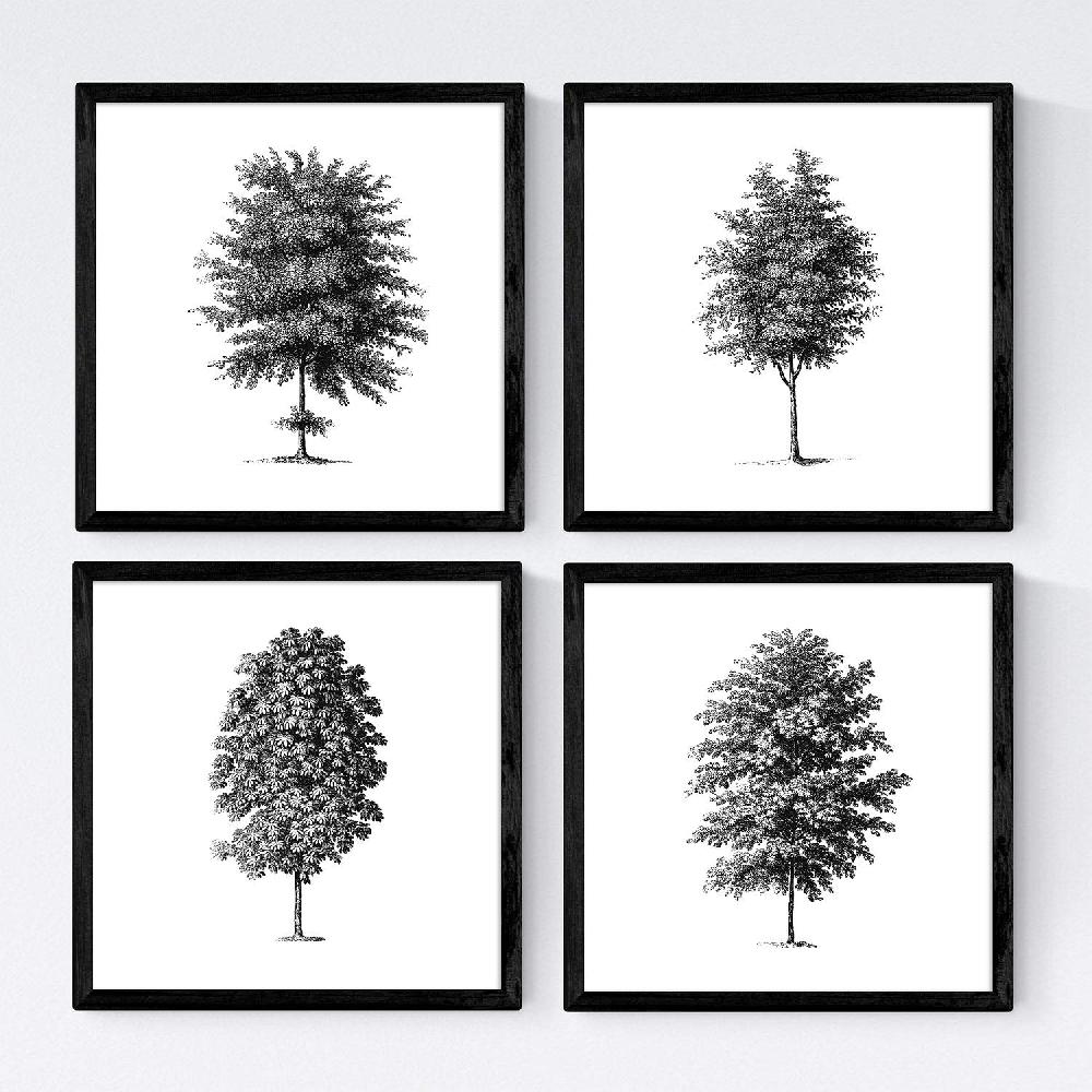 nacnic Set de Láminas de Árboles con Tronco Fino