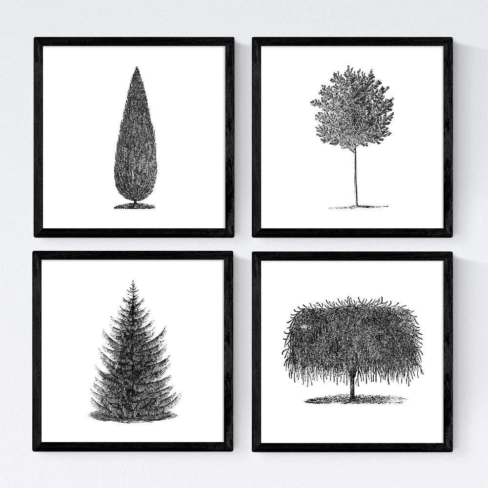 nacnic Set de Láminas de Árboles Diferentes