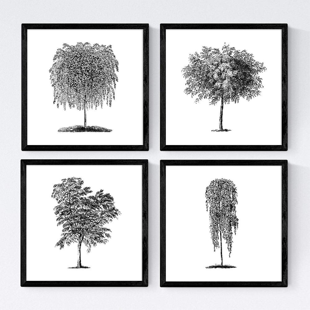 nacnic Set de Láminas de Árboles Diferentes