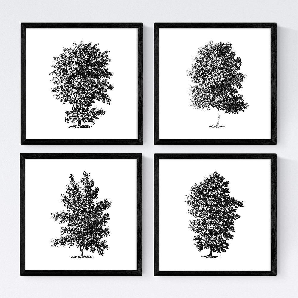 nacnic Set de Láminas de Arboles