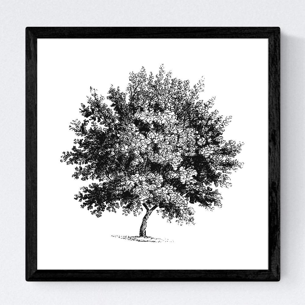 Nacnic Set De Láminas De Arboles En Fondo Blanco