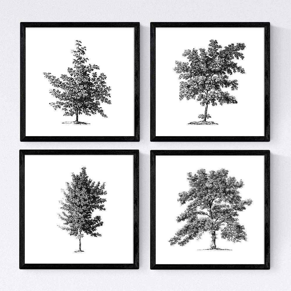 nacnic Set de Láminas de Arboles en Fondo Blanco