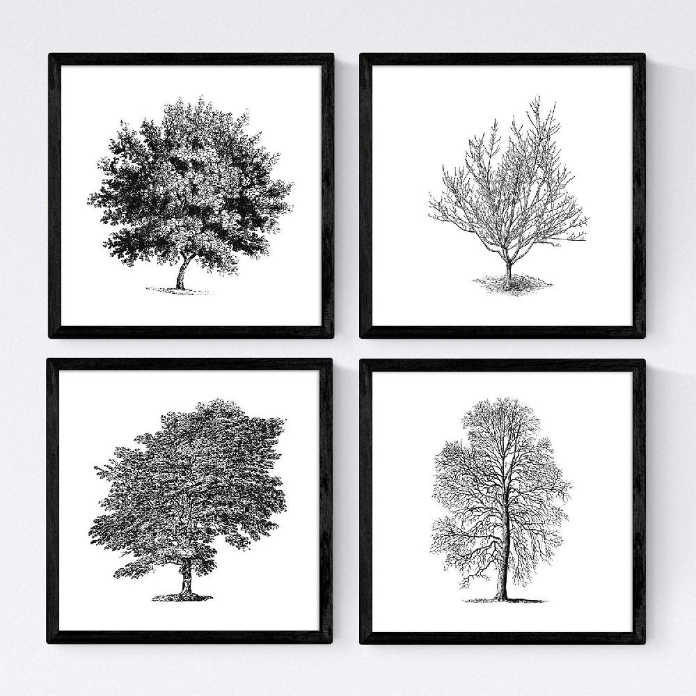 nacnic Set de Láminas de Arboles en Fondo Blanco