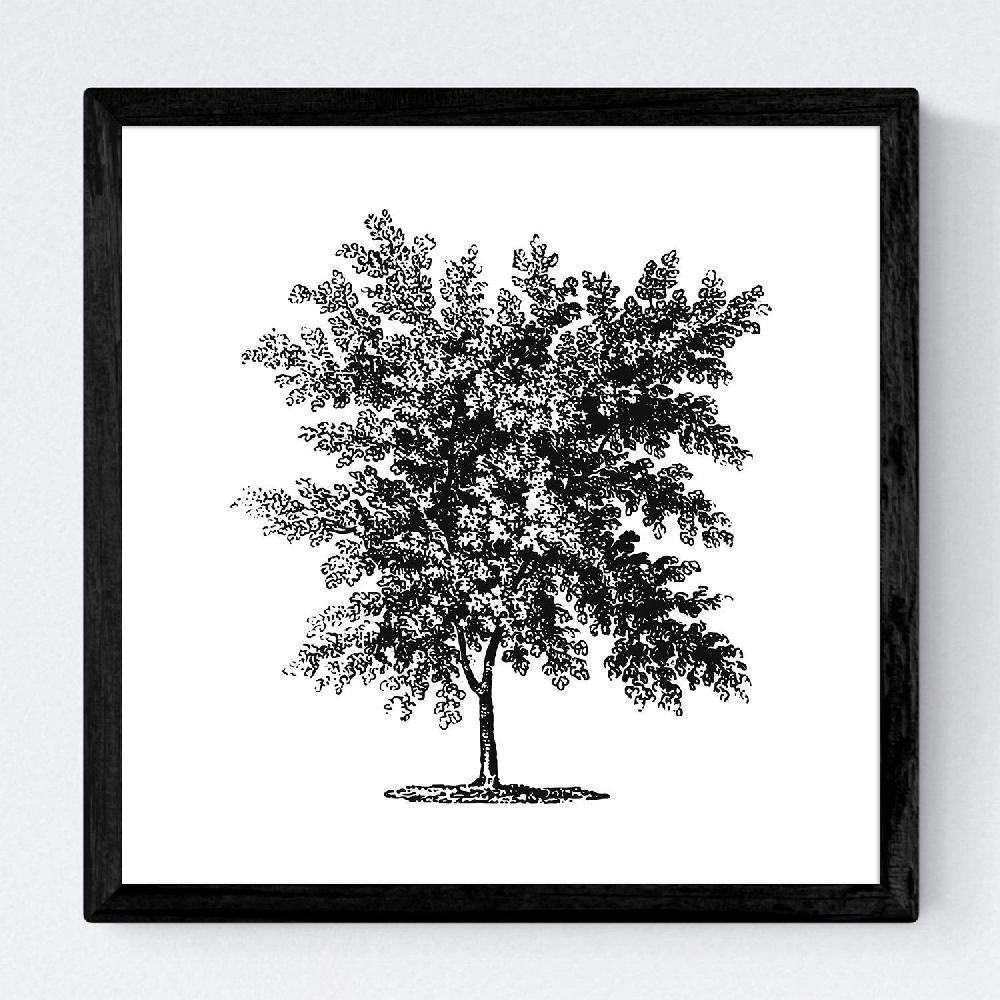 Nacnic Set De Láminas De Arboles Frondosos