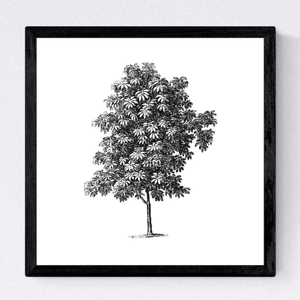 Nacnic Set De Láminas De Arboles Frondosos