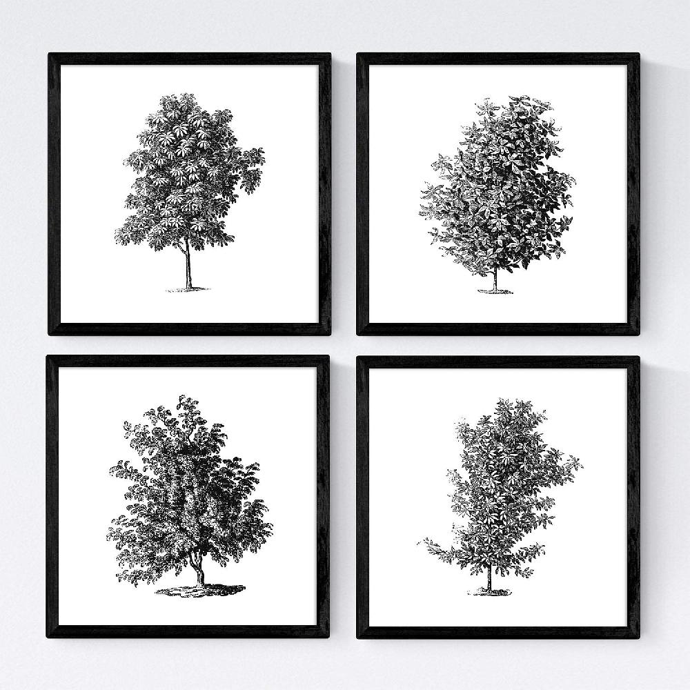 nacnic Set de Láminas de Arboles Frondosos