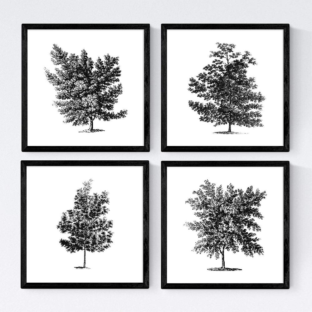 nacnic Set de Láminas de Arboles Frondosos