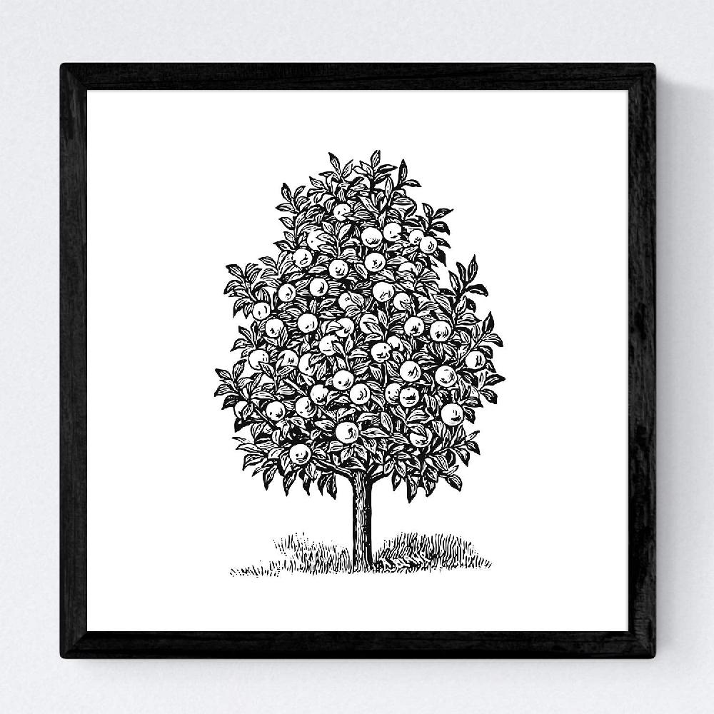 Nacnic Set De Láminas De Arboles Frutales