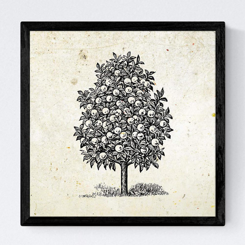 Nacnic Set De Láminas De Arboles Frutales Vintage