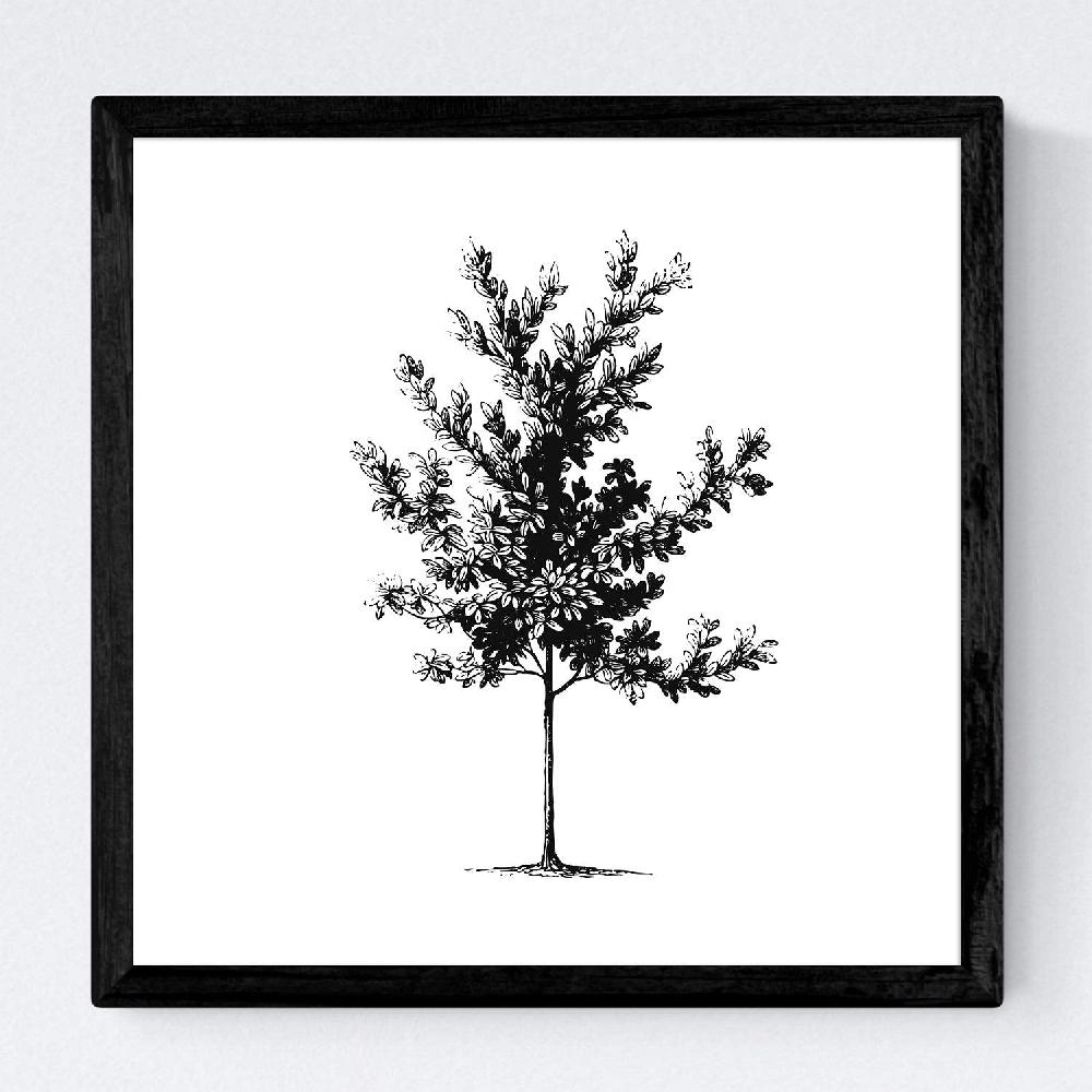 Nacnic Set De Láminas De Arboles Medianos