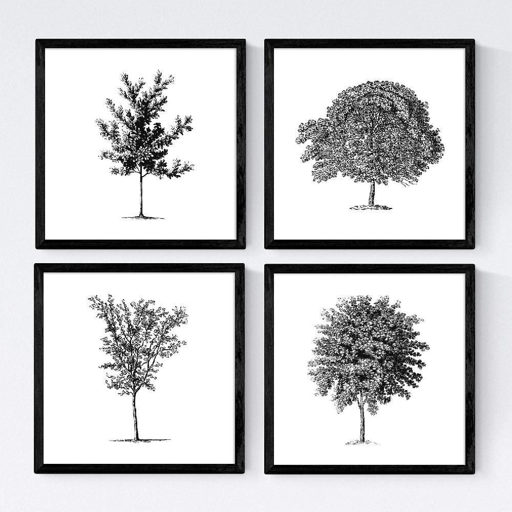nacnic Set de Láminas de Arboles Medianos