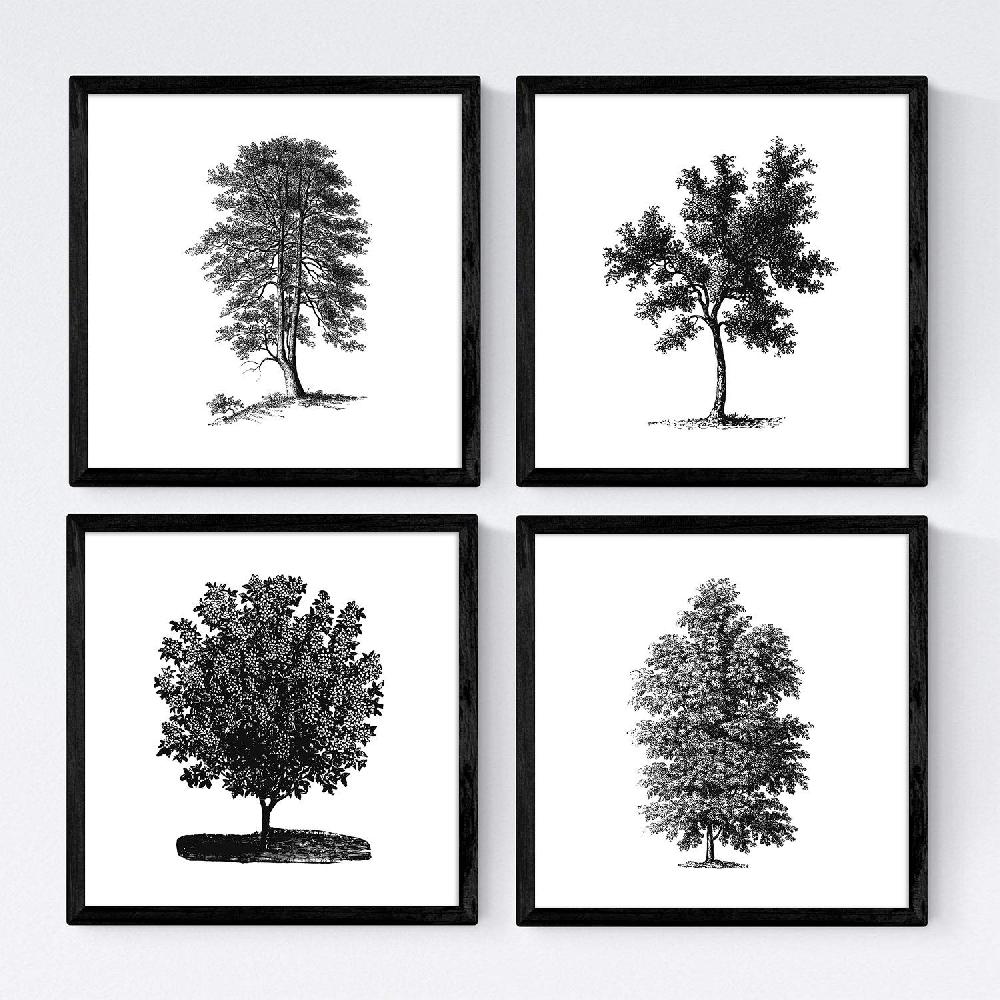 nacnic Set de Láminas de Arboles Mix
