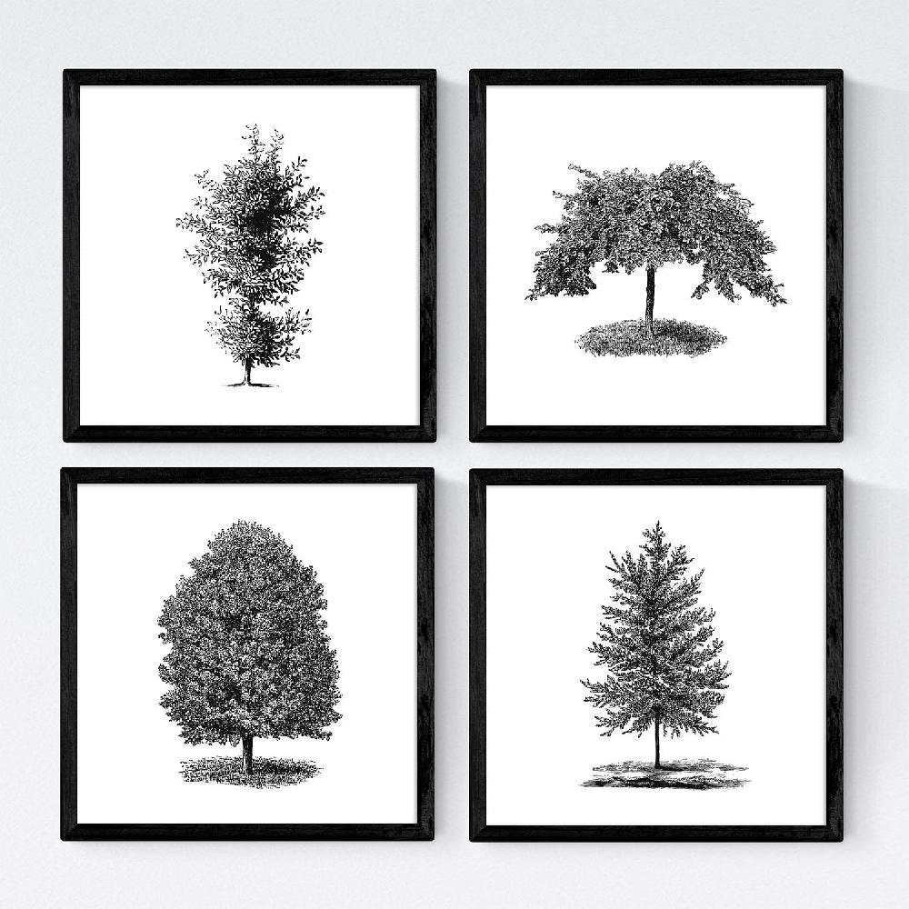 nacnic Set de láminas de arboles ornamentales