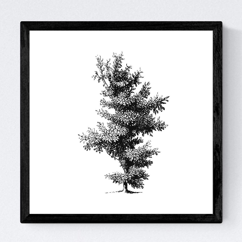 Nacnic Set De Láminas De Árboles Variados