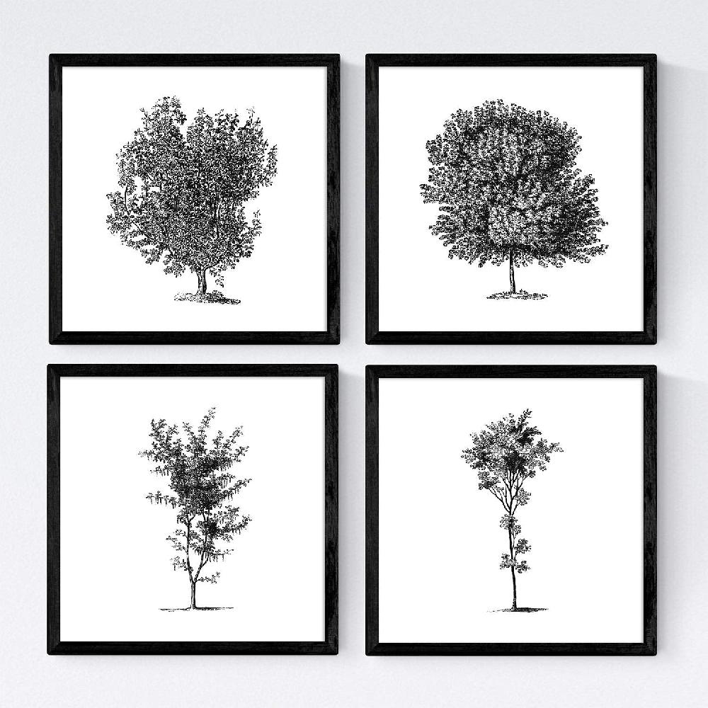 nacnic Set de láminas de arboles variados