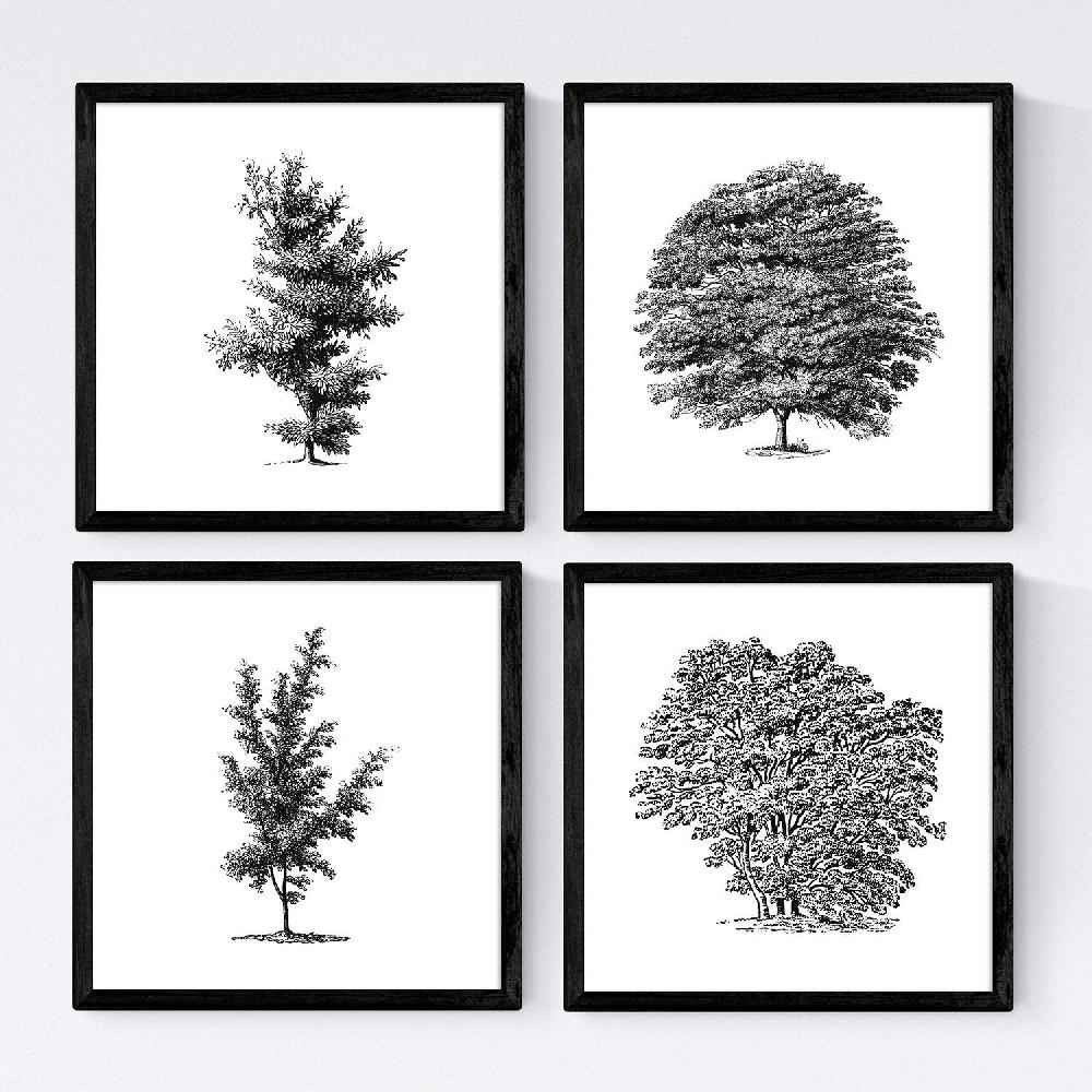 nacnic Set de Láminas de Árboles Variados