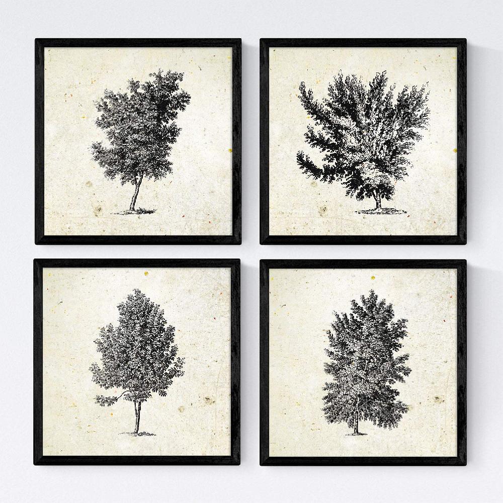 nacnic Set de Láminas de Árboles Vintage