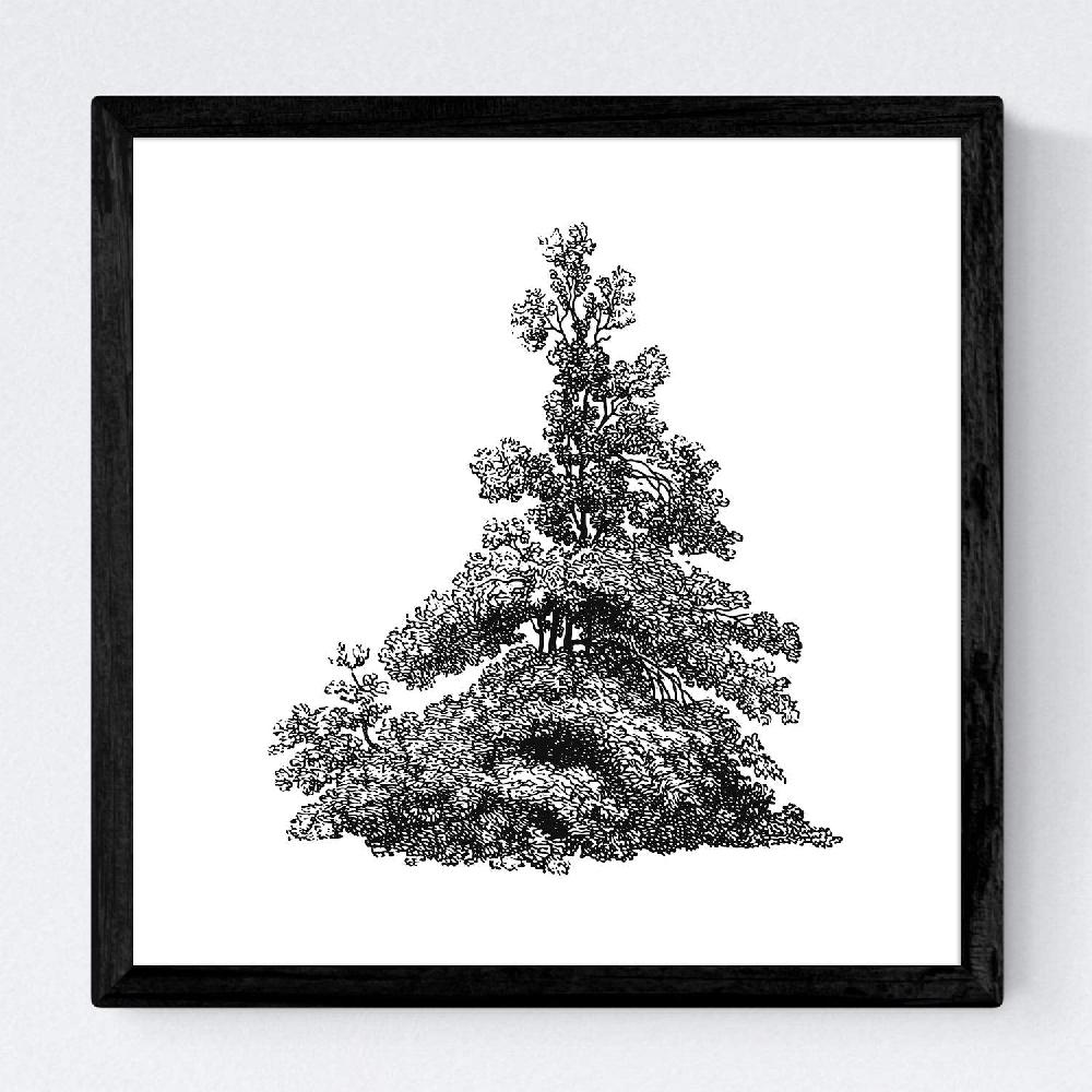 Nacnic Set De Láminas De Arboles Y Arbustos