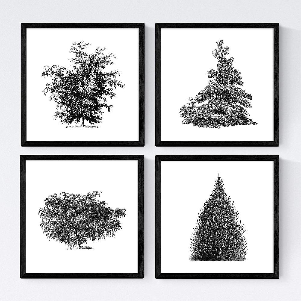 nacnic Set de láminas de arboles y arbustos