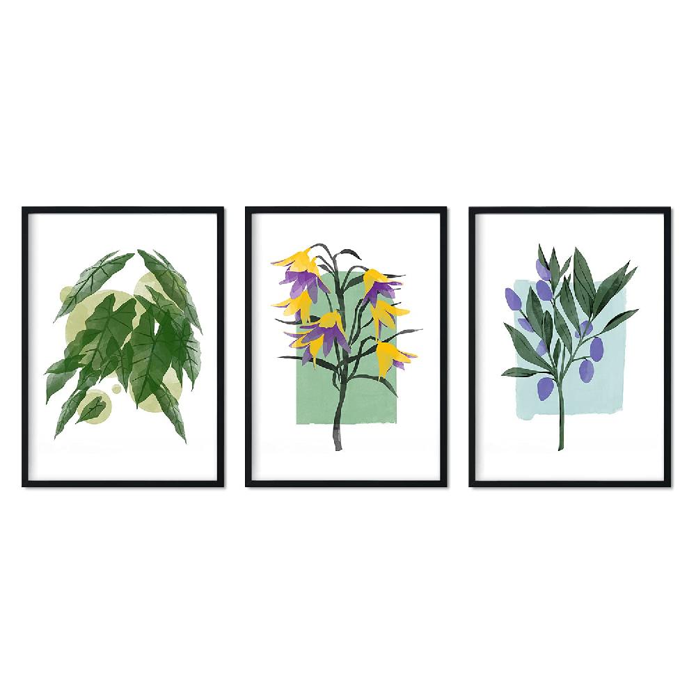 nacnic Set de Láminas de Flores Acuarela