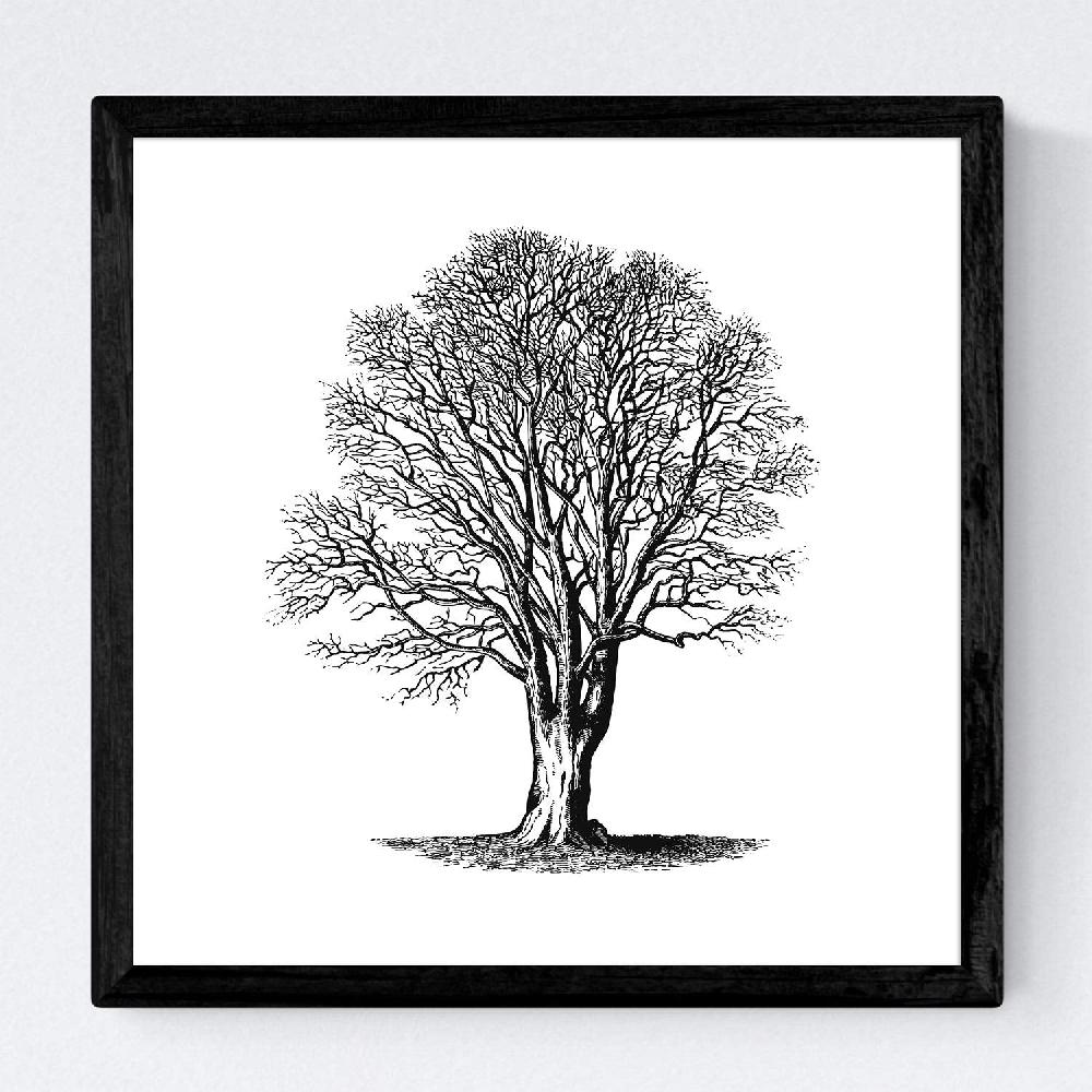 Nacnic Set De Láminas Vintage De Arboles