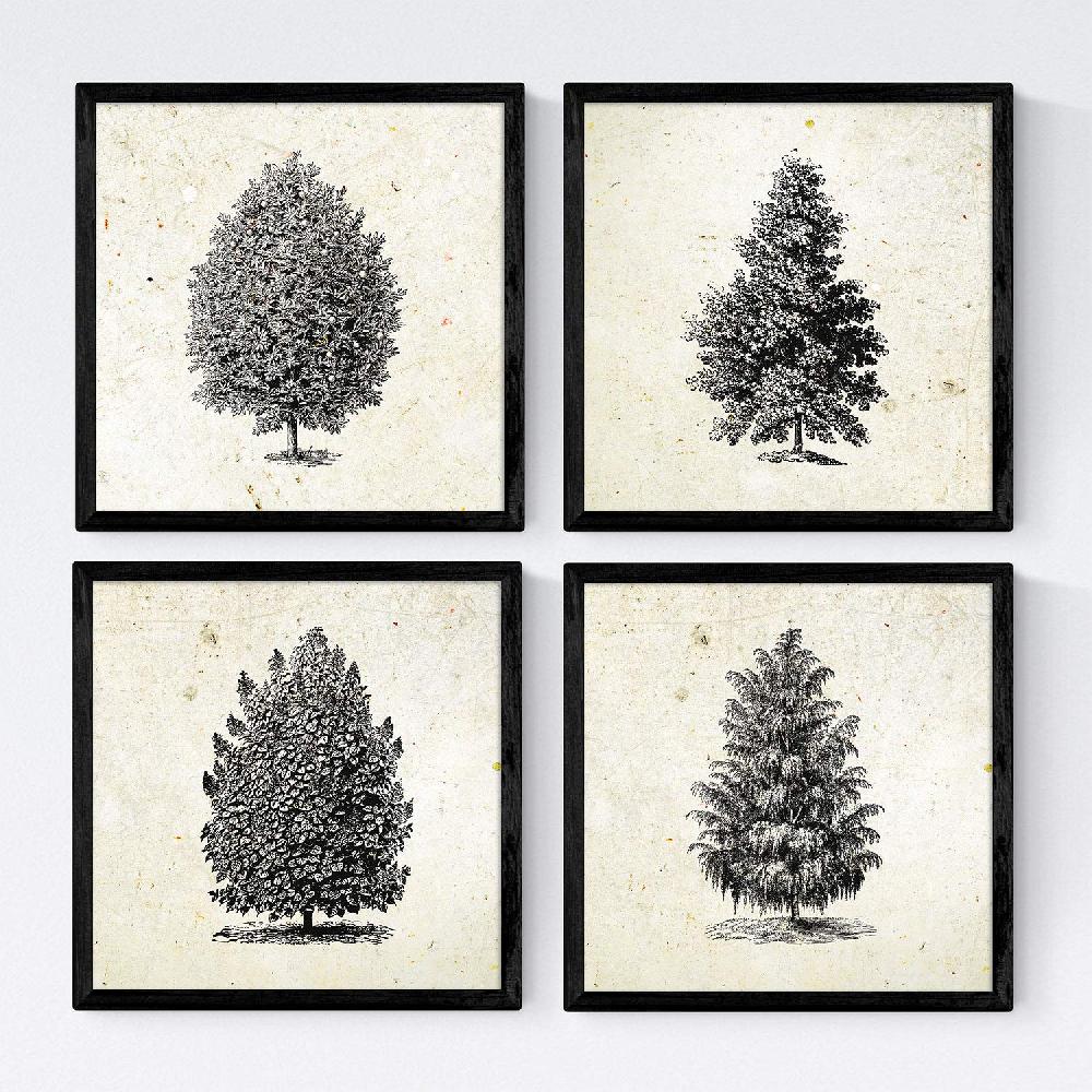 nacnic Set de láminas vintage de arboles altos