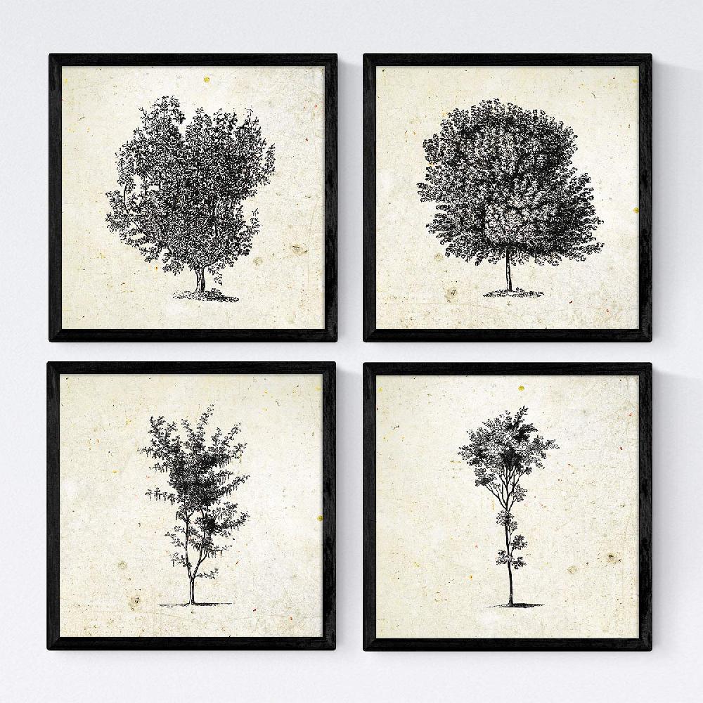 nacnic Set de Láminas Vintage de Arboles