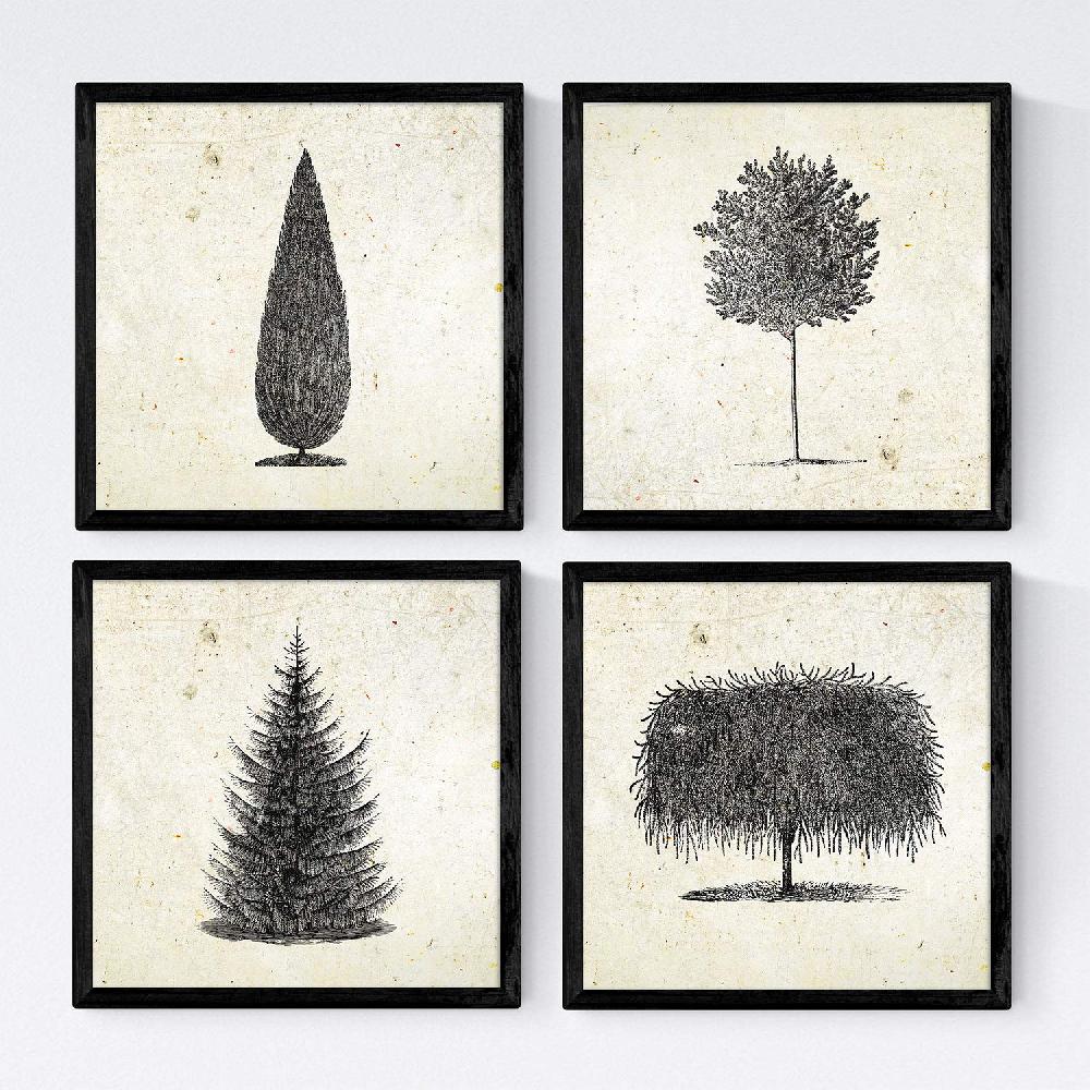 nacnic Set de Láminas Vintage de Árboles