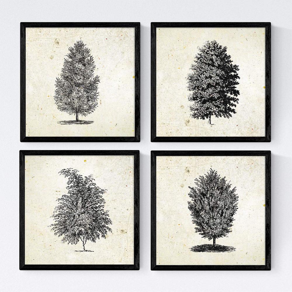 nacnic Set de Láminas Vintage de Arboles Fondosos
