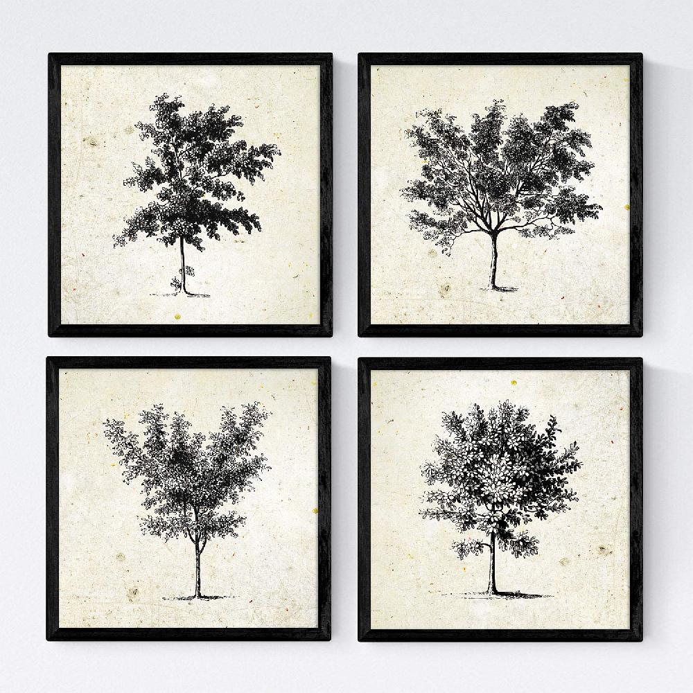 nacnic Set de láminas vintage de arboles medianos