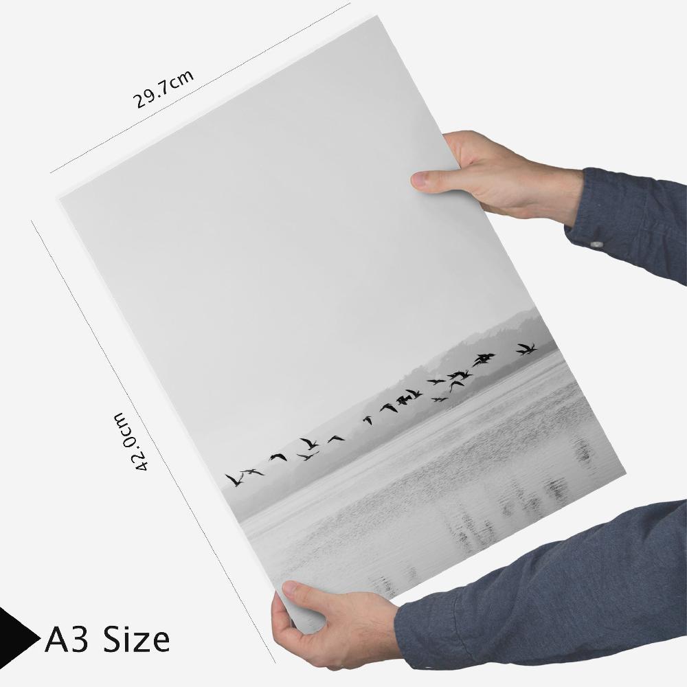 Nacnic Verano Playa Y Mar