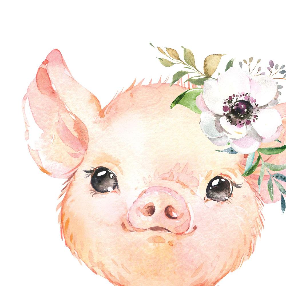 Nacnic Pack De Cuatro Láminas De Animales: Cerdo Mapache Cabra Y Mofeta