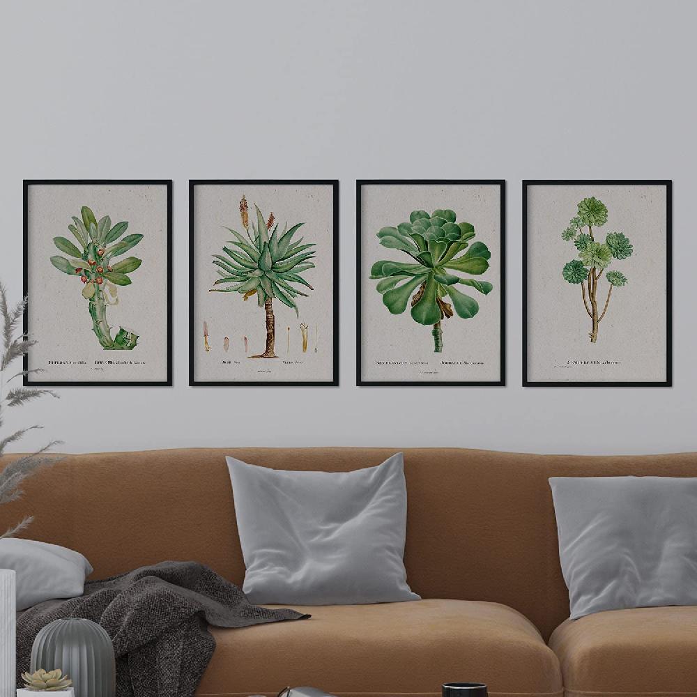 Nacnic Pack De Láminas Acuarela Suculentas Pierre-Joseph Redouté