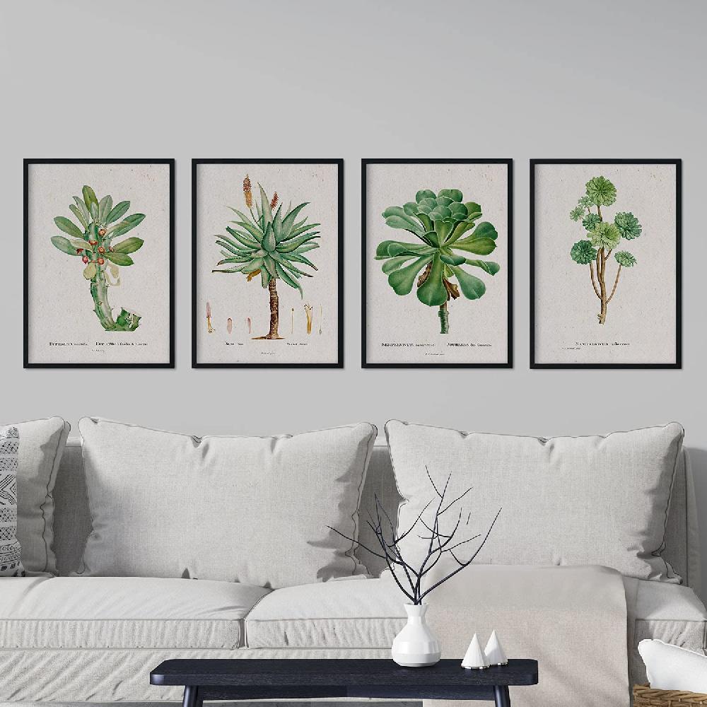 Nacnic Pack De Láminas Acuarela Suculentas Pierre-Joseph Redouté