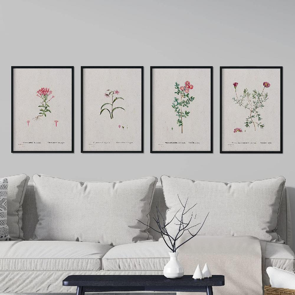 Nacnic Pack De Láminas Acuarelas Flores Rosas De Pierre-Joseph Redouté