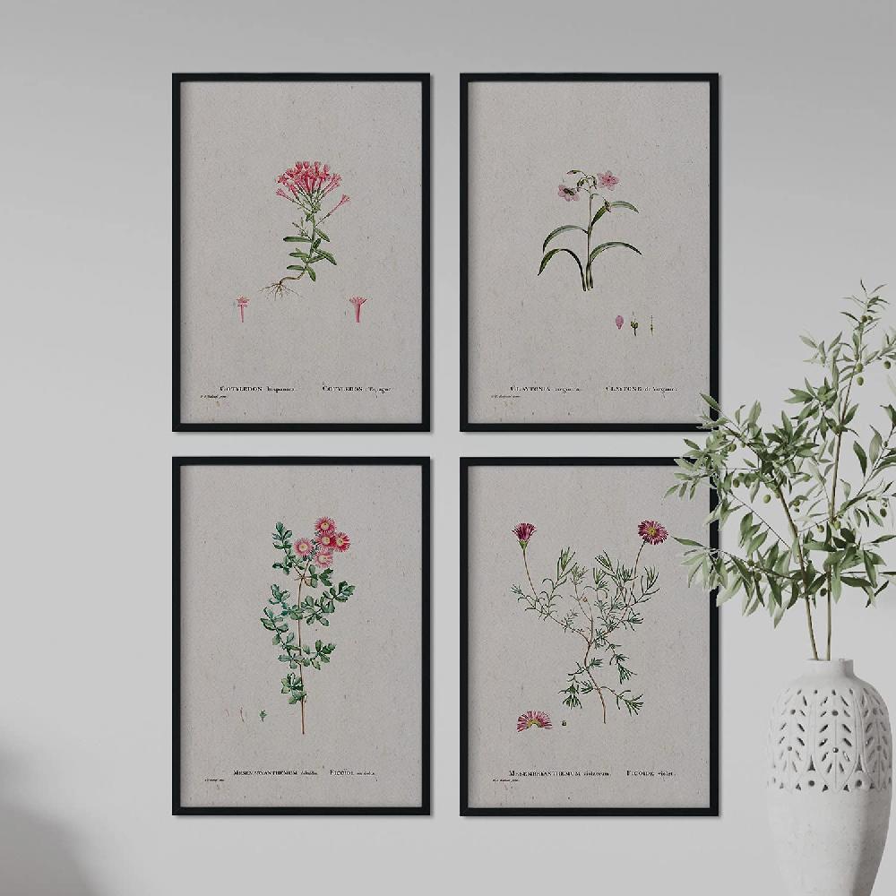 Nacnic Pack De Láminas Acuarelas Flores Rosas De Pierre-Joseph Redouté