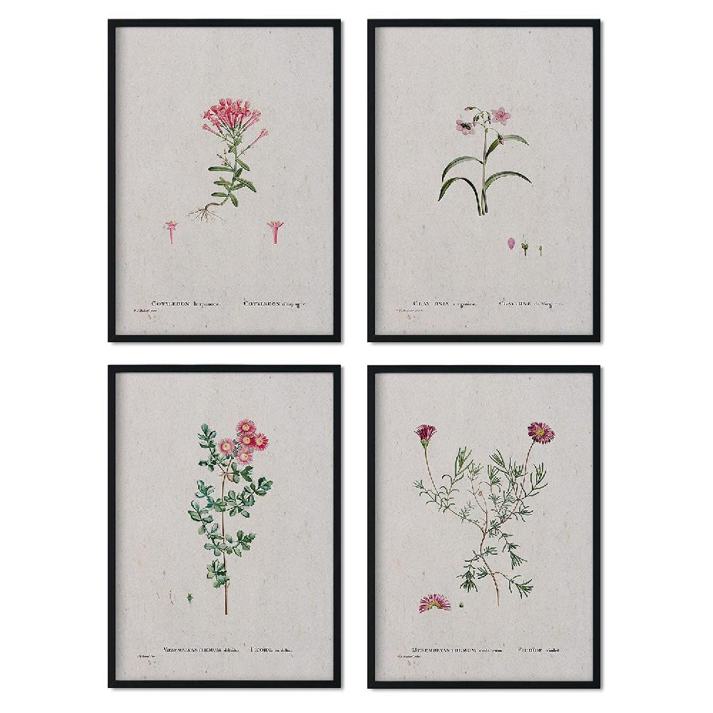 nacnic Pack de Láminas Acuarelas Flores Rosas de Pierre-Joseph Redouté