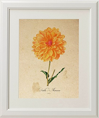 Nacnic Pack De Láminas AIR De Botánica Alta Calidad