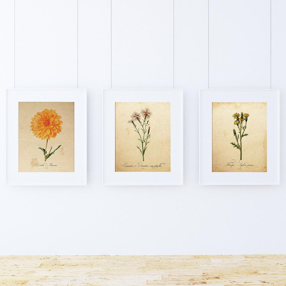 nacnic Pack de láminas AIR de botánica alta calidad