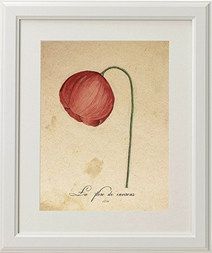 Nacnic Pack De Láminas Botánicas RED ONE De Alta Calidad