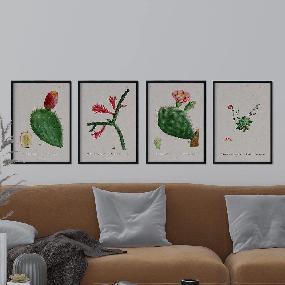 Nacnic Pack De Láminas Cactus Rojos De Pierre-Joseph Redouté