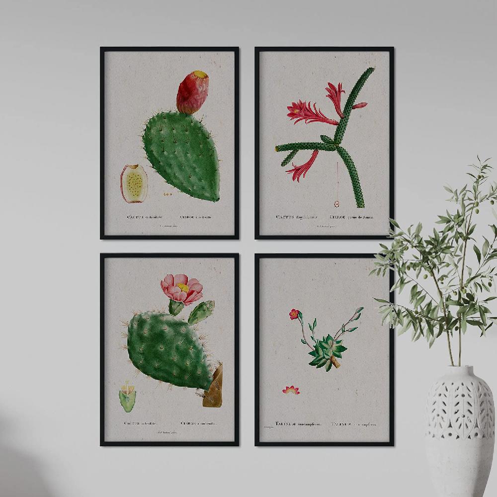 Nacnic Pack De Láminas Cactus Rojos De Pierre-Joseph Redouté